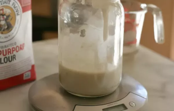 Homemade Sourdough Starter Recipe