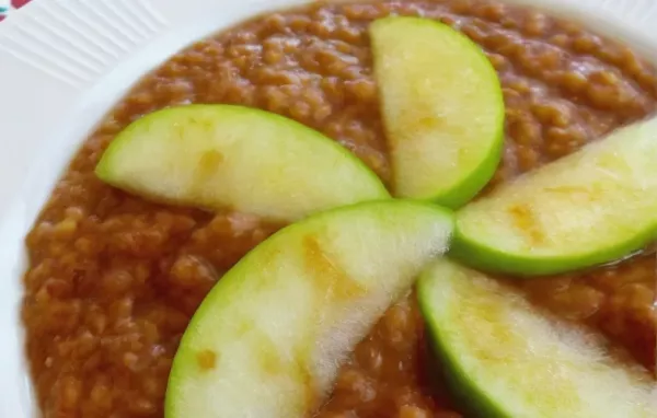 Slow Cooker Cinnamon Apple Steel Cut Oats Recipe