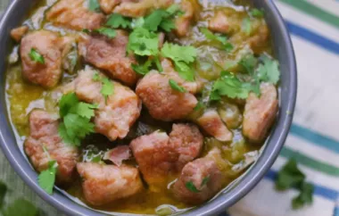 Authentic and Flavorful Instant Pot Chile Verde Recipe