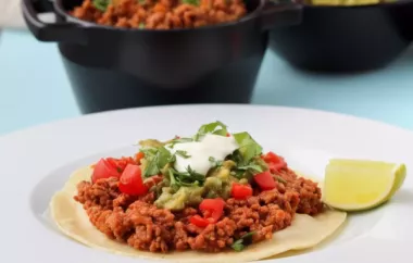 Cameron's Ground Turkey Salsa Ranchera Recipe for Tacos and Burritos