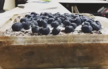 Cocoa-Blueberry Cake