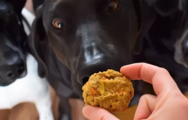 Delicious and Healthy Homemade Dog Treats