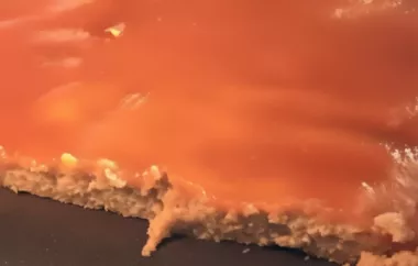 Delicious Homemade Apricot Bars Recipe