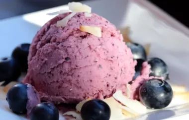 Delicious Vegan Dessert: Blueberry Coconut Ice Cream