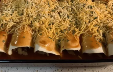 Quick and Easy Enchiladas Recipe