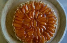 Apricot-Almond Galette