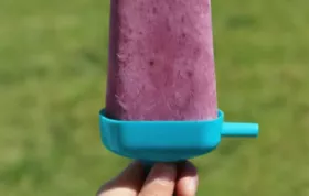 Blueberry Yogurt Pops