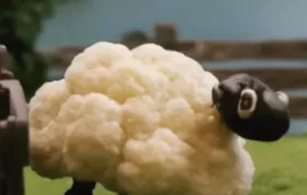 Cauliflower Sheep Stew