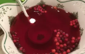 Christmas Poinsettia Punch