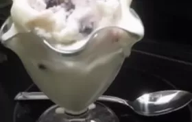 Delicious Creamy Vanilla Frozen Yogurt Recipe