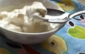 Delicious Homemade Honey Greek Yogurt Recipe