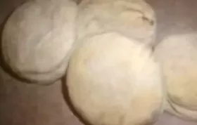 Fake Sourdough Biscuits
