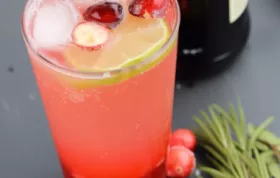 Festive Holiday Mule Mocktail Recipe