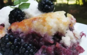 Homemade Blackberry Cobbler Recipe