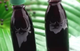 Homemade Elderberry Syrup Recipe