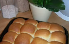 Homemade Pan Rolls