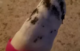 Milk and Cookies Ice Pops