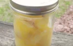 Quick Preserved Lemons Recipe