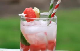 Refreshing Watermelon Gin and Tonic Recipe