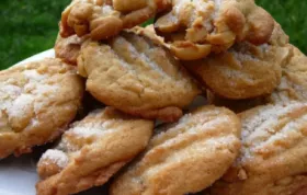 Salted Peanut Cookies